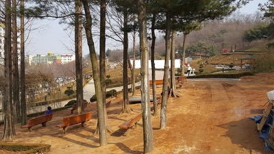 작품사진