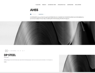 AHSS-STEEL(초고장력강)